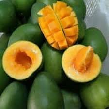 Mangga