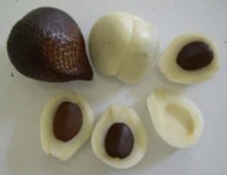Salak