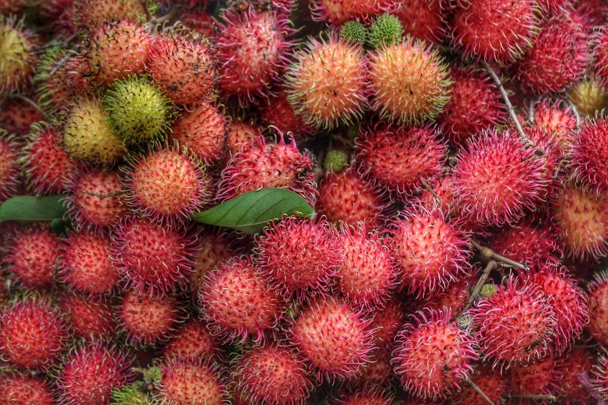 Rambutan Binjai