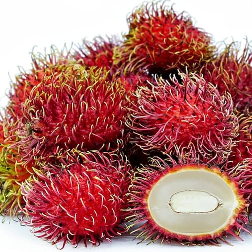 Rambutan Lebak Bulus