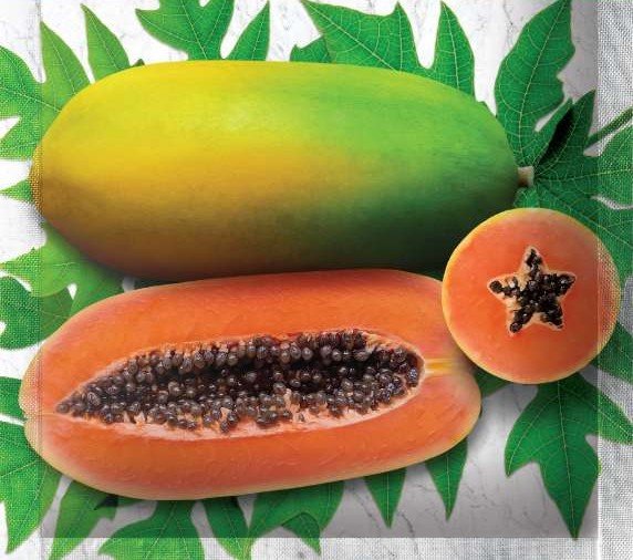 Pepaya Merah Delima