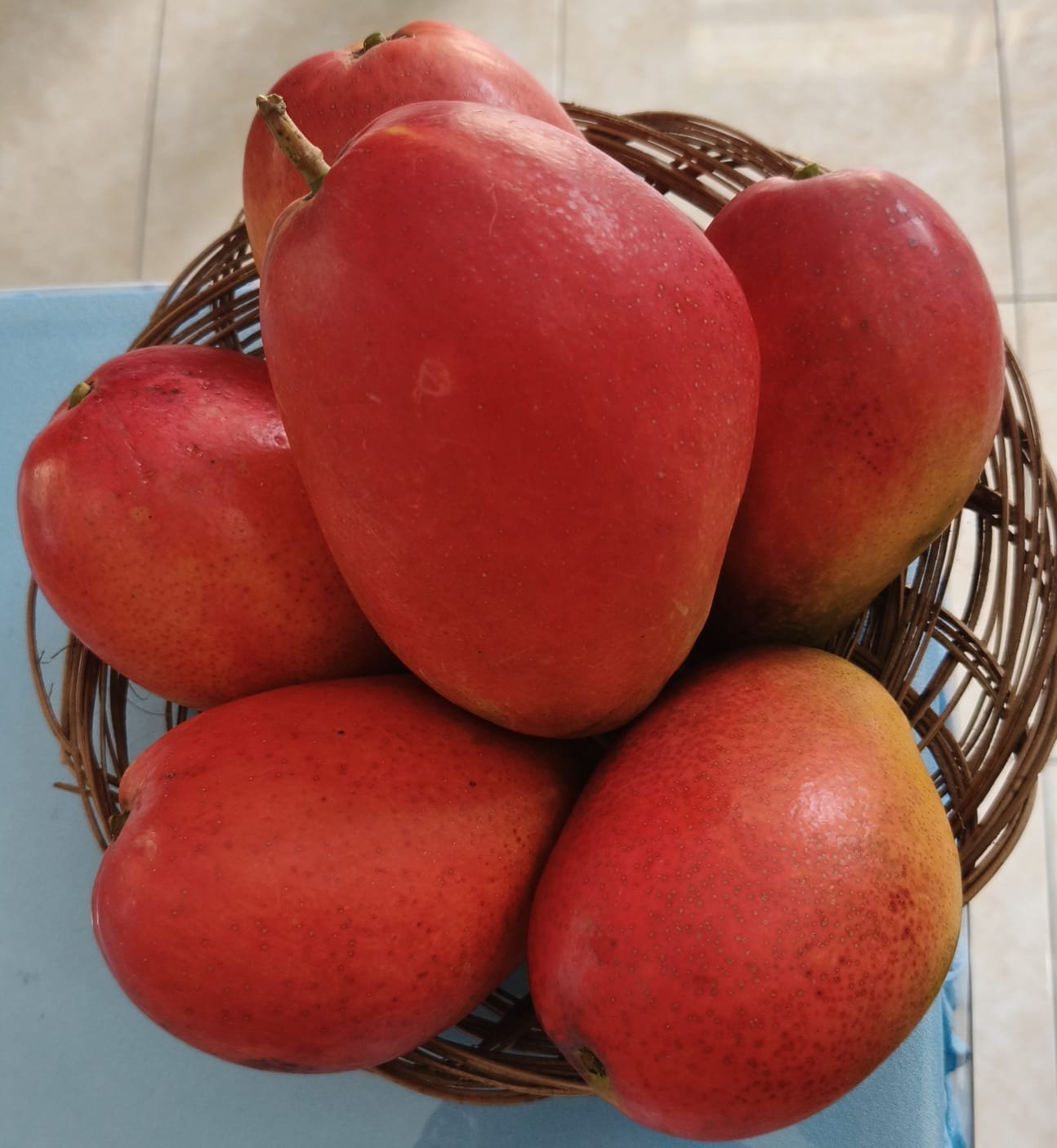 Garifta Merah